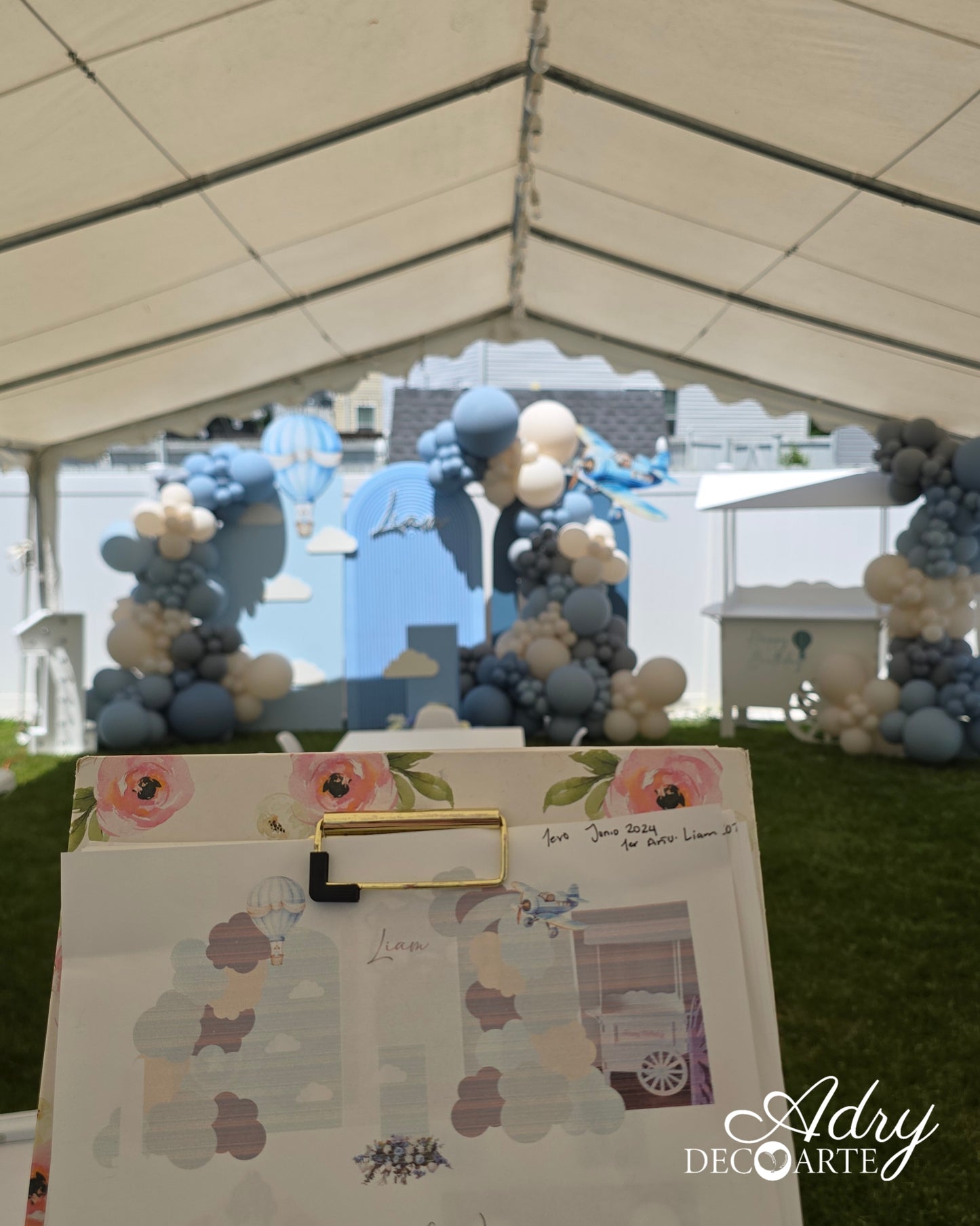 Blue Party