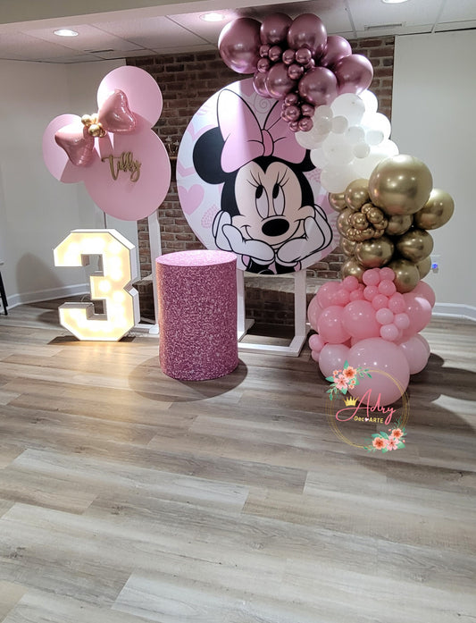 Minnie Party #2