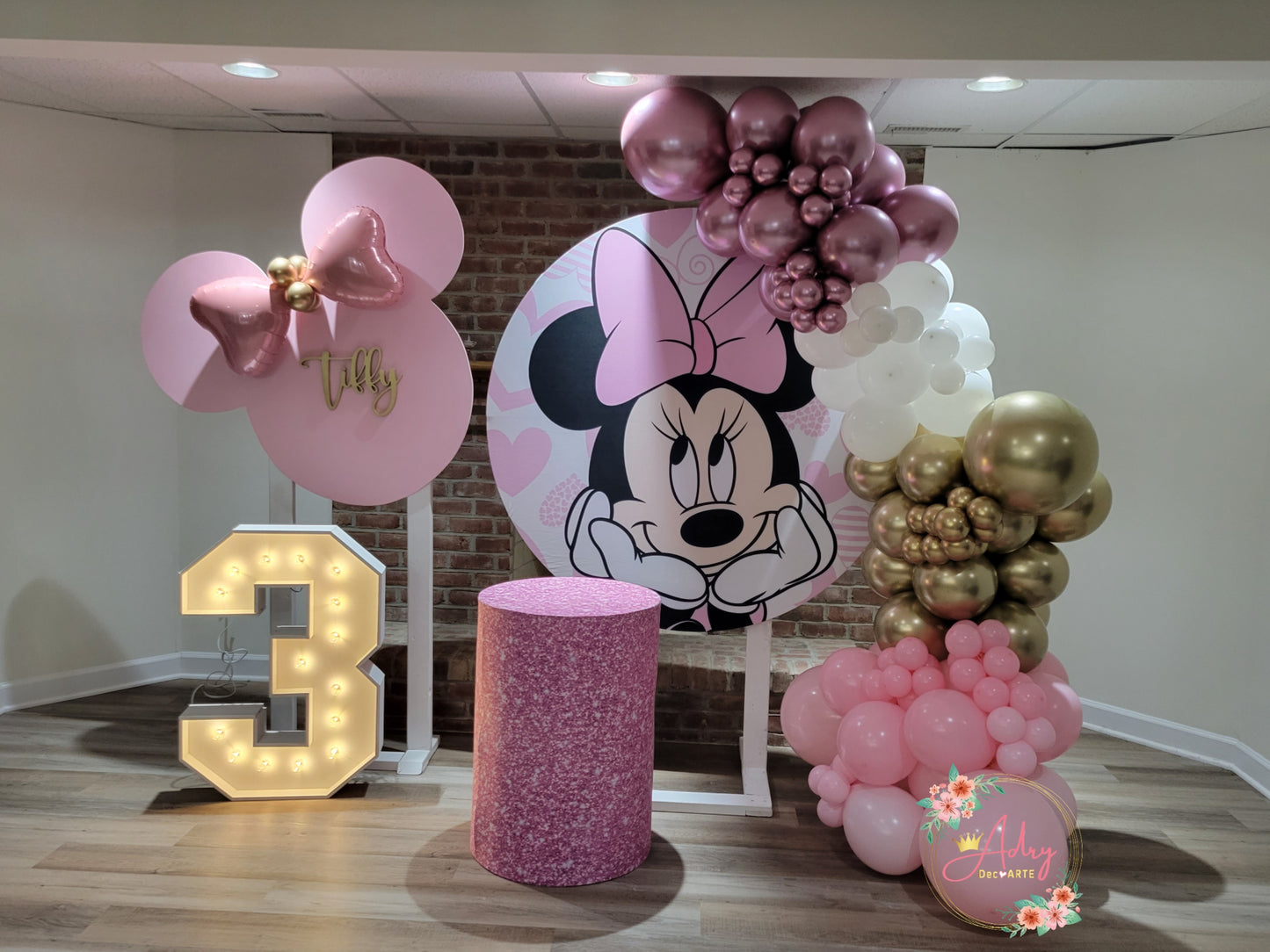 Minnie Party #2