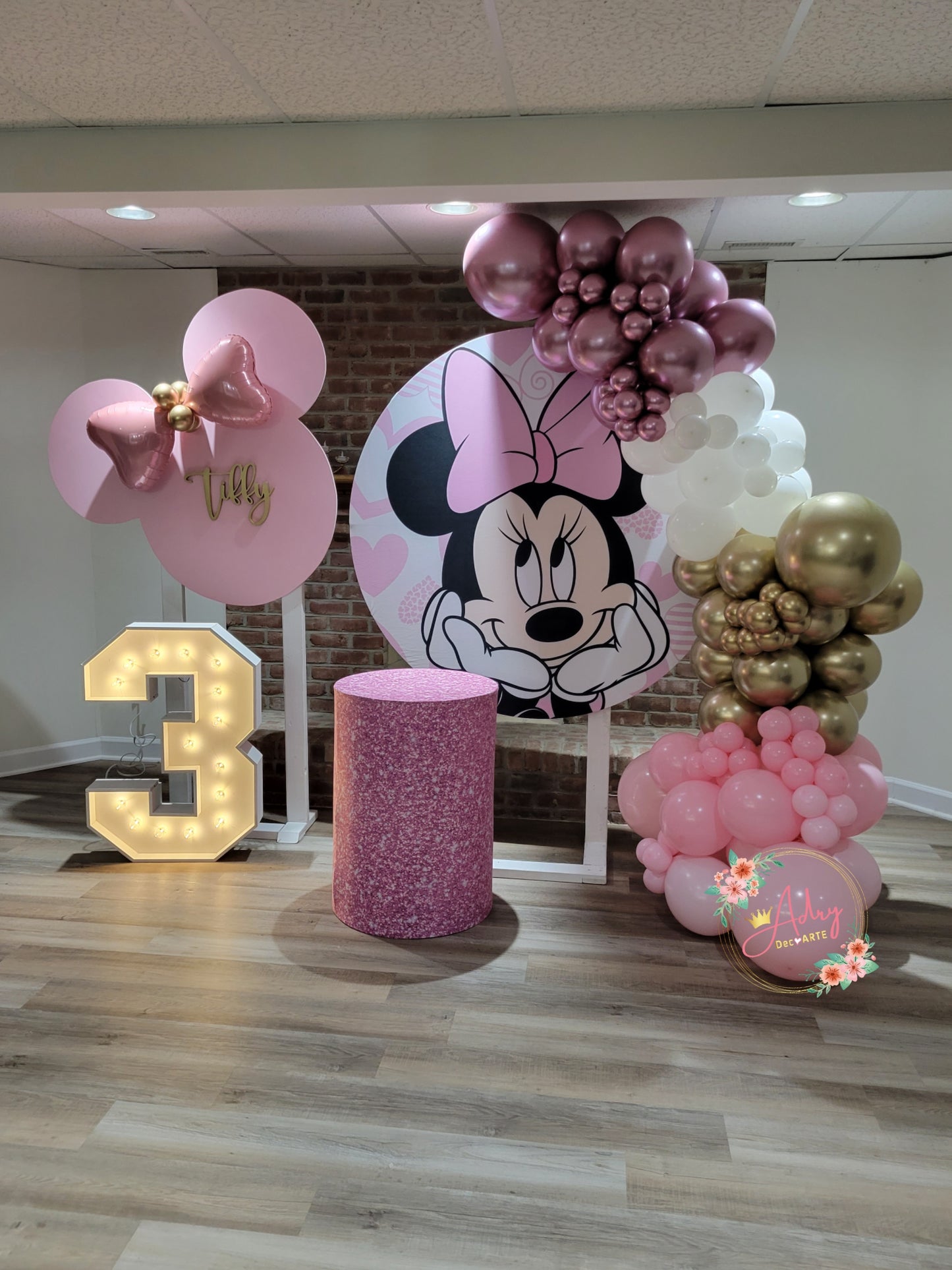 Minnie Party #2