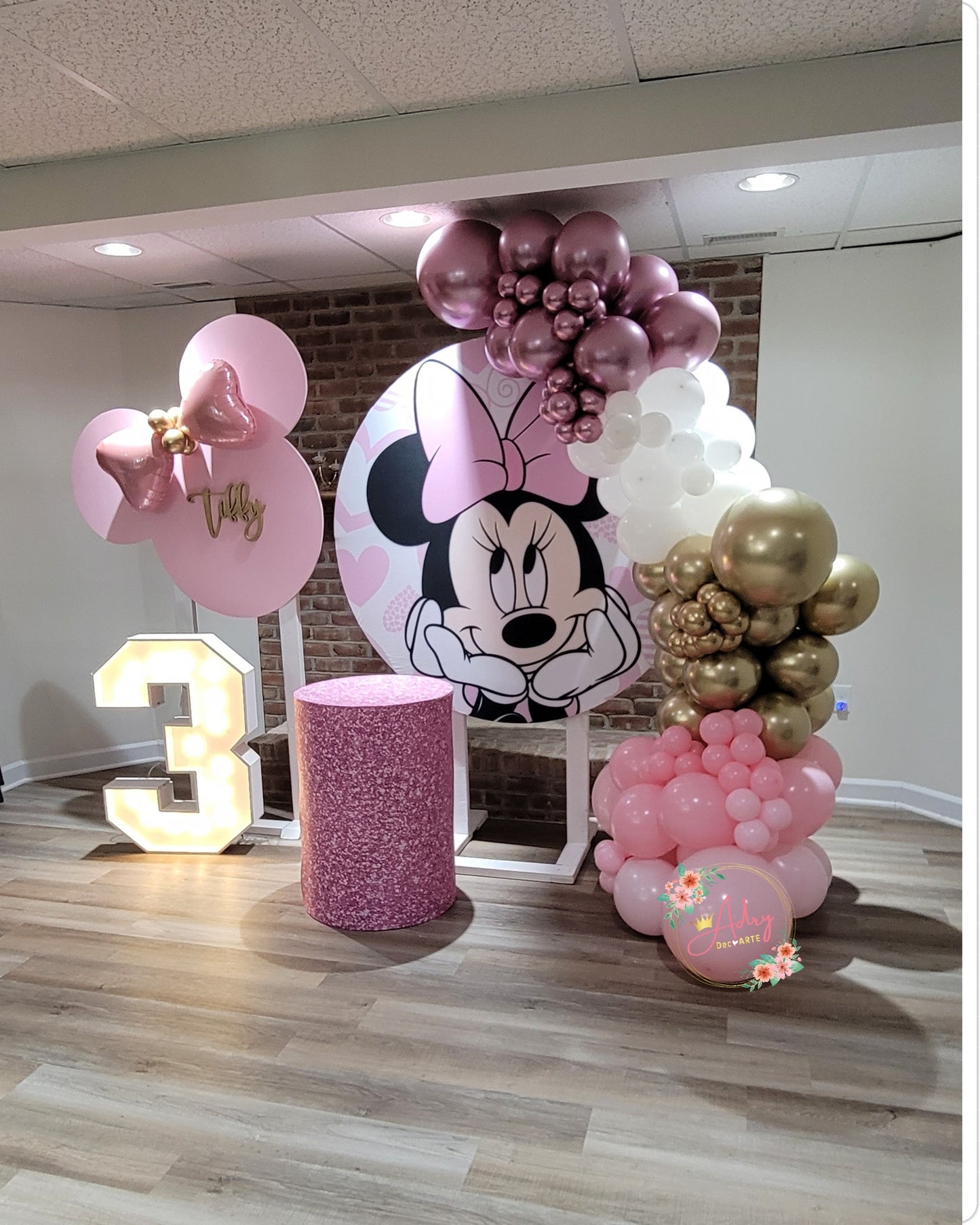 Minnie Party #2