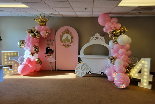 Princess Party #2